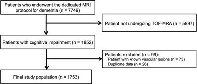 Diagnostic yield of TOF-MRA for detecting incidental vascular lesions in patients with cognitive impairment: An observational cohort study